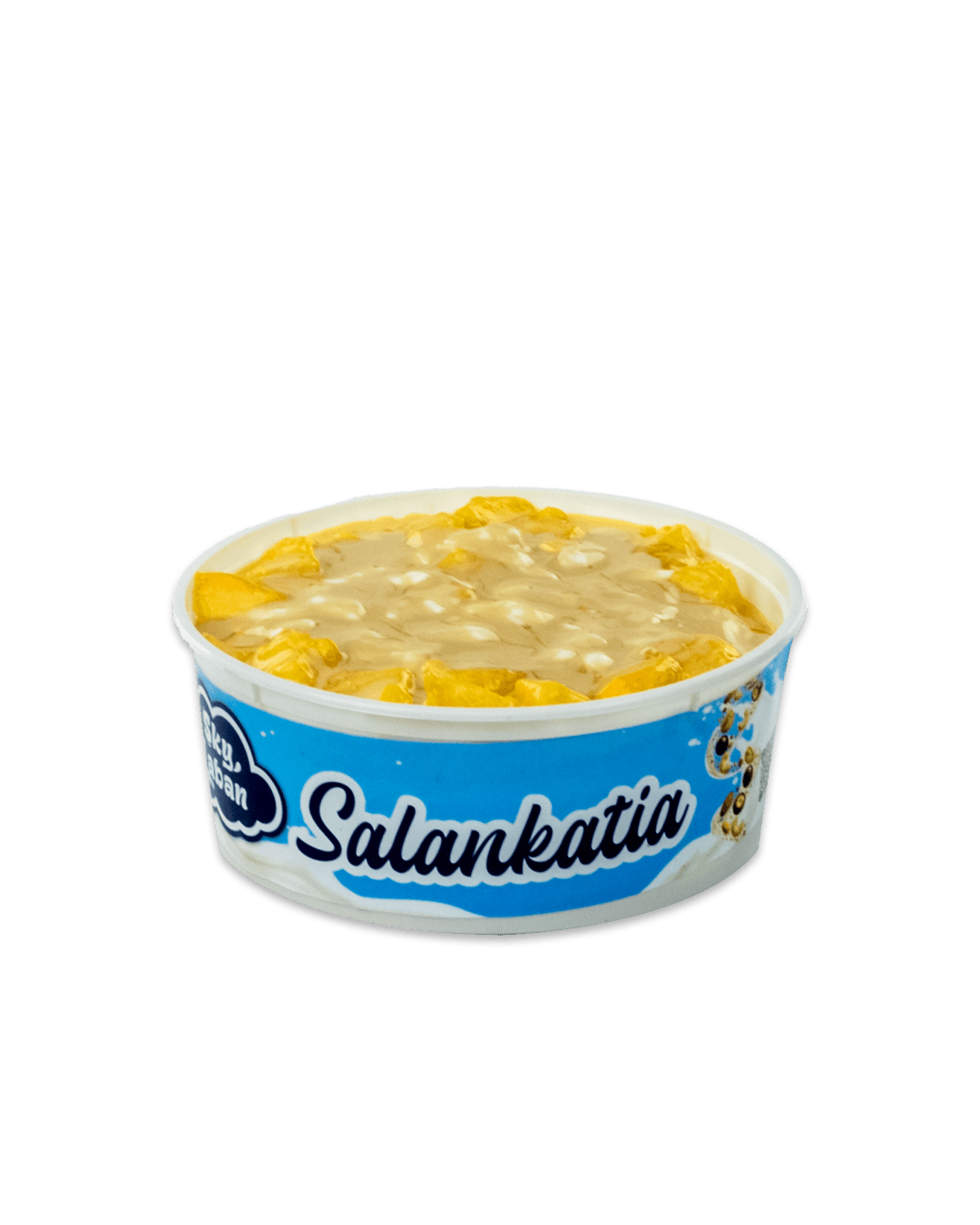Mango Salankatia